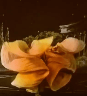 Screen Shot 2017-11-20 at 14.56.36